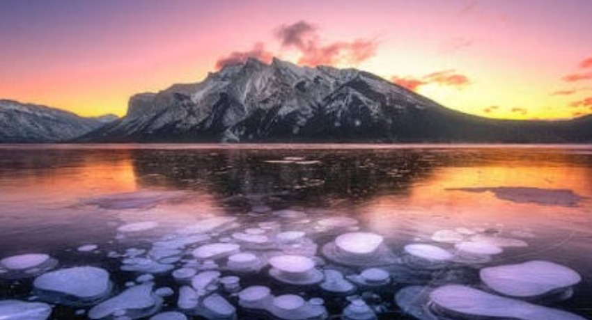 短剧投研交流区 - 海角社区 - 微短剧赛道投研与全产业链交流专区